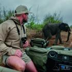 Swarovski CL Companion 8x30 braun Fernglas