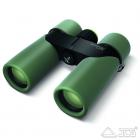 Swarovski CL Companion 8x30 grün Fernglas