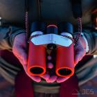 Swarovski CL Companion 10x30 grün Fernglas