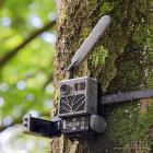 Zeiss Secacam 3 LTE Wildkamera