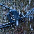 Zeiss Kabelschloss (mit Code)