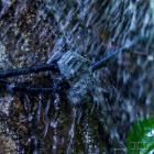 Zeiss Kabelschloss (mit Schlüssel) Gleichschließend